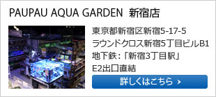 PAUPAU AQUA GARDEN  新宿店