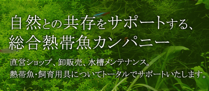 自然との共存をサポートする、総合熱帯魚カンパニー