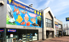 TropiLand　小平店